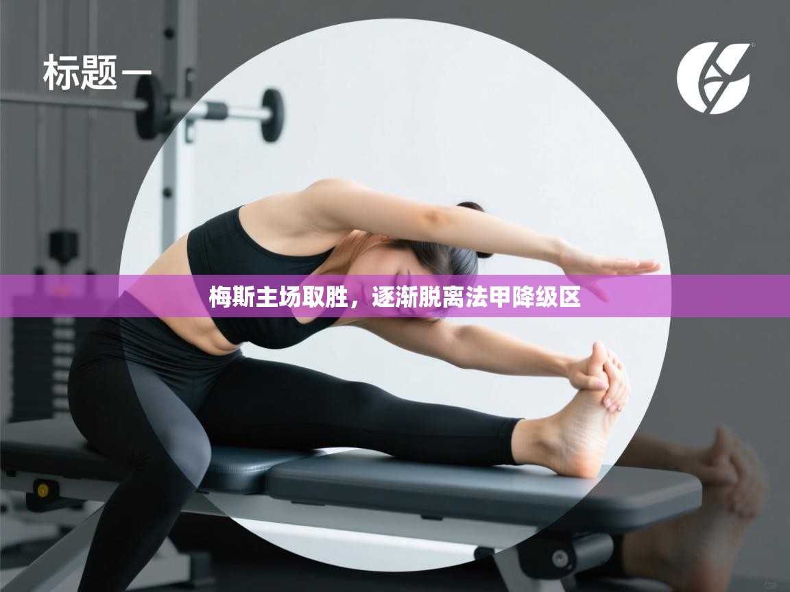 梅斯主场取胜,逐渐脱离法甲降级区 第1张