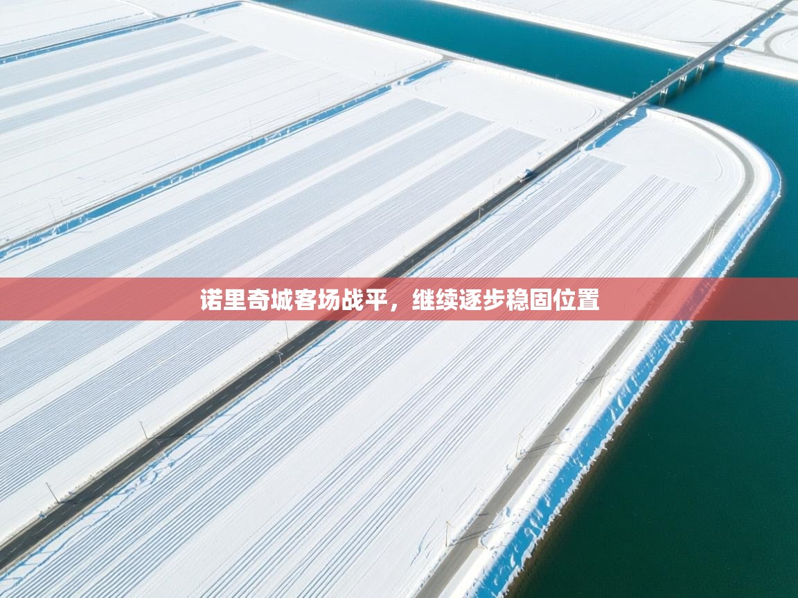 诺里奇城客场战平，继续逐步稳固位置  第2张