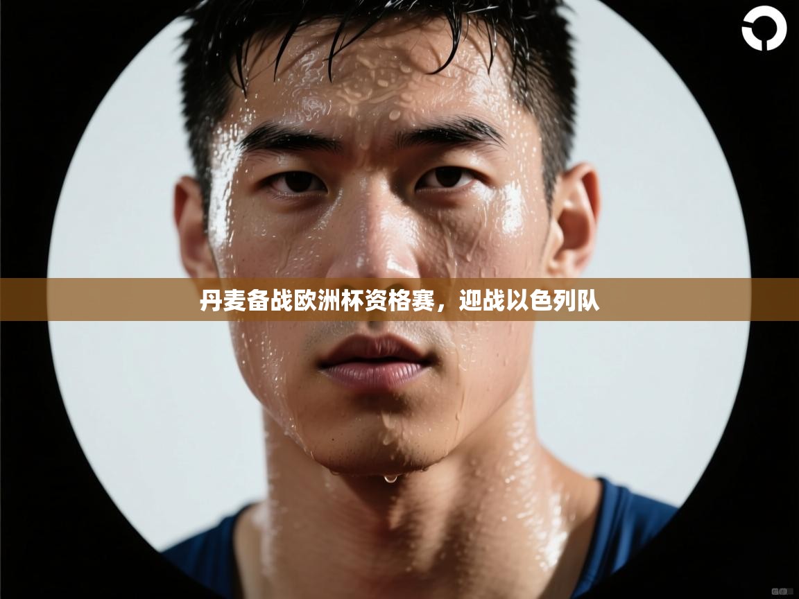 丹麦备战欧洲杯资格赛，迎战以色列队  第2张