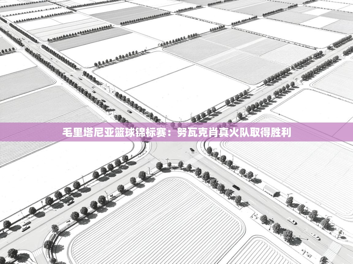 毛里塔尼亚篮球锦标赛：努瓦克肖真火队取得胜利  第2张