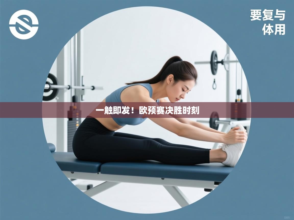 一触即发！欧预赛决胜时刻  第2张