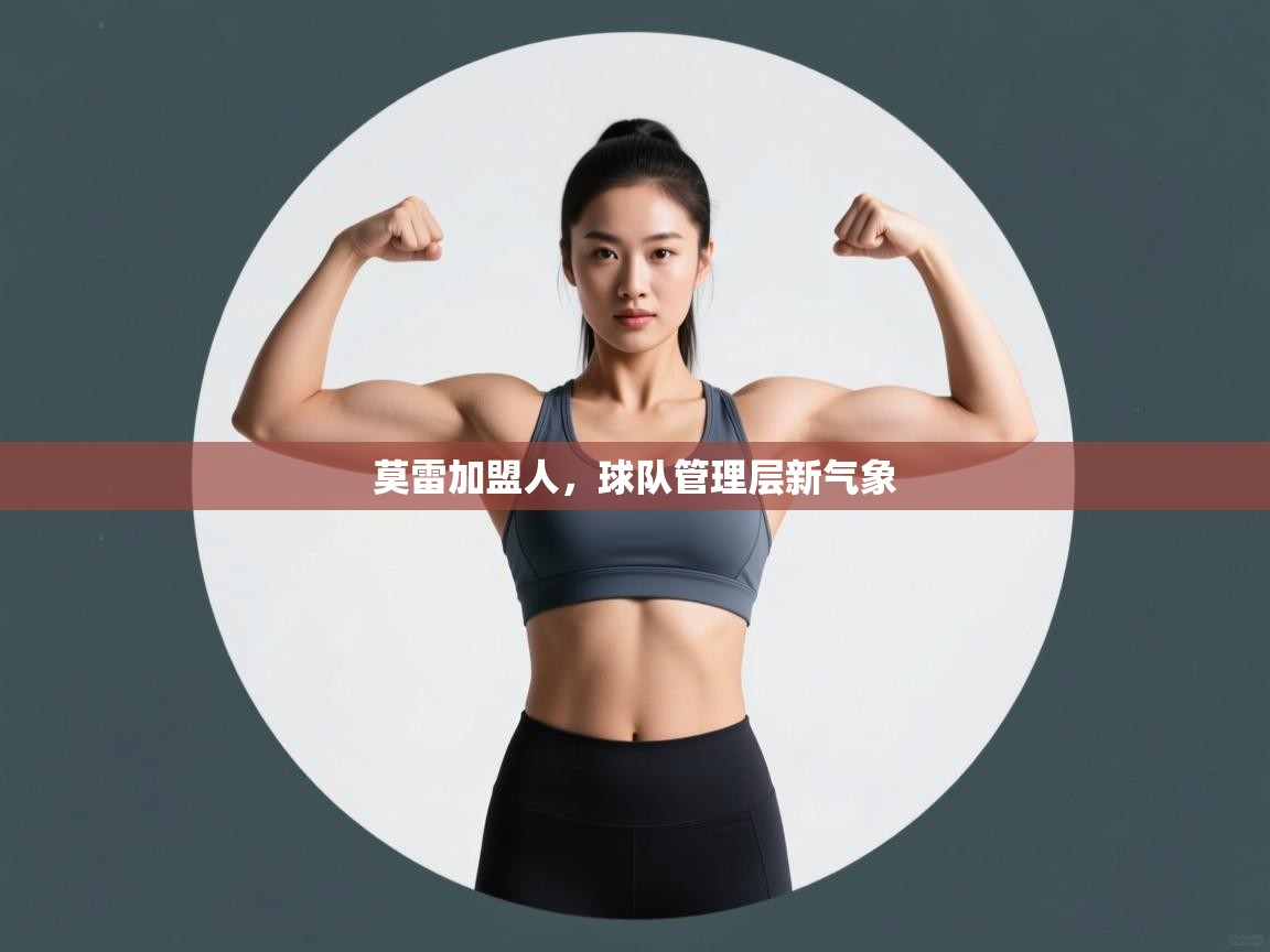 莫雷加盟人，球队管理层新气象  第1张